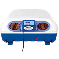 Incubator de ouă BOROTTO REAL 49