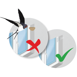 Cum să împiedici păsările să-și facă cuib pe ferestre 