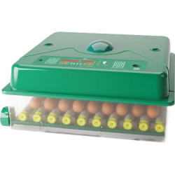 Incubator automat ECO PROFI C-70, bunuri second-hand 