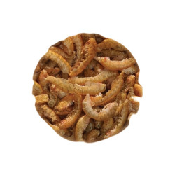 Gammarus uscat UGF 20g