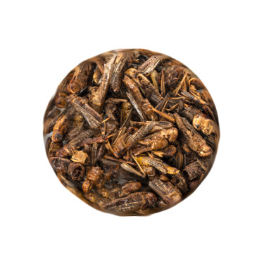 Lăcuste uscate UGF 20 g