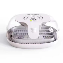 Incubator M16 bunuri second-hand
