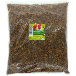 Recompensă pentru găini 1 kg