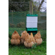Alimentator CLEVER pentru păsări de curte din plastic de 10 litri