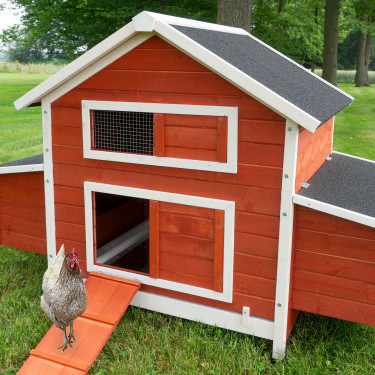 Coteț de găini și adăpost pentru gâște din lemn, cu sau fără incintă GRAZ, 1710x900x1130 mm