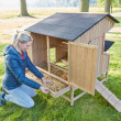 INNSBRUCK Adăpost de găini și coteț din lemn, 1100x1300x1100 mm