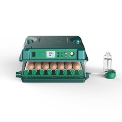 Incubator complet automat AGF-2-36 pentru 36 ouă