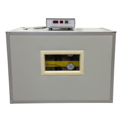 Incubator cabinet profesional pentru 240 de oua | AGF-240