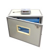 Incubator cabinet profesional pentru 256 de oua | AGF-256