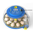 Incubator AGROFORTEL M18H – pentru 18 ouă de găină și 8 ouă de gâscă, posibil și pentru ouă de prepeliță și rață