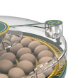 Incubator automat pentru păsări de curte AGROFORTEL 52H – pentru 52 de ouă