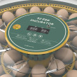 Incubator automat pentru păsări de curte AGROFORTEL 52H – pentru 52 de ouă