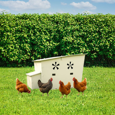 Coteț de găini din plastic Happy Nest - 132 x 80 x 85 cm