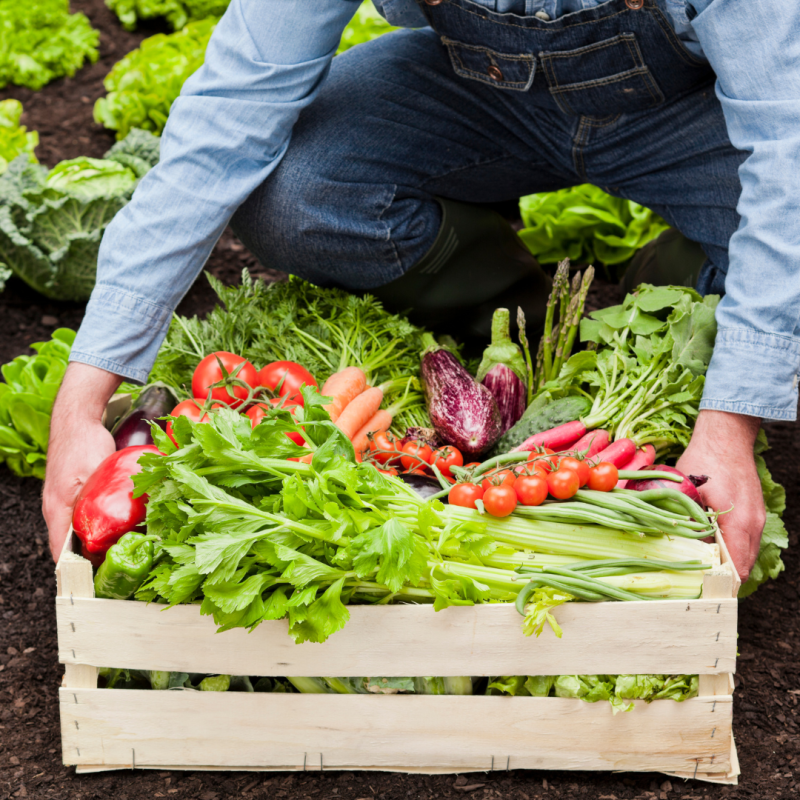 De ce alimentele ecologice sunt cu adevărat cele mai bune? 