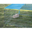 Cușcă pentru iepuri, porcușori de Guineea și alte rozătoare, 115 x 115 x 65 cm, cu prelată