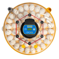 BRINSEA Maxi 48 Advance - incubator automat pentru găini și gâște