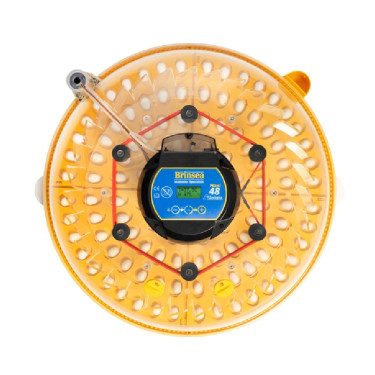 BRINSEA Maxi 48 Zoologica - incubator specializat pentru papagali și păsări exotice