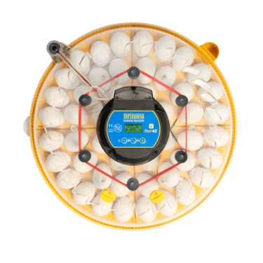 BRINSEA Maxi 48 EX Connect - incubator inteligent pentru găini, prepelițe și gâște