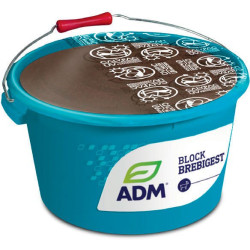 MINERAL MOLASAT LIZ BLOCK BLOCK BREBIGEST - Pregătirea oilor pentru nămolire