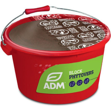 PHYTOVERS CU MINERAL MOLASAT LIZ BLOCK Organic - Pășune liniștită, fără paraziți