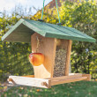 Alimentator de păsări din lemn Fermă de păsări Bird Dream