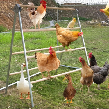 Biban dublu pentru pui - stinghie reglabilă din lemn, completă cu 7 bare