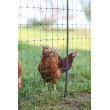 Plasă electrică pentru păsări de curte AKO PoultryNet Premium 25 m, 106 cm, verde, țăruș dublu