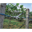 Troliu manual cu pârghie pe cablu KERBL 37117 HAND POWER PULLER 3 m / 1250 kg