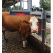 Perie de scărpinat pentru bovine Euro Farm cu arc 