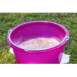 Găleată de hrănire pentru păsări de curte Kerbl, 12 l, 4 orificii de hrănire cu capace