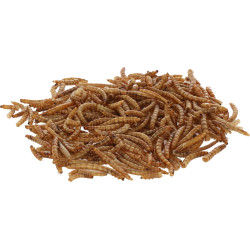Larve uscate de Tenebrio molitor, 900 g, Kerbl