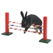 Obstacol de sărituri Agility pentru rozătoare 