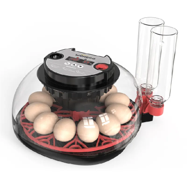 Incubator complet automat WONEGG M12H - pentru diverse tipuri de păsări de curte