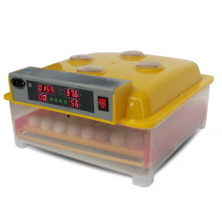 Incubator digital automat WQ-56 / 56 de ouă.