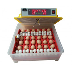 Incubator digital automat WQ-36 pentru 36/144 ouă