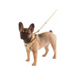Ham pentru căței și câini mici Puppy 