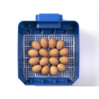 Incubator de ouă complet automat BOROTTO LUMIA 16 EXPERT