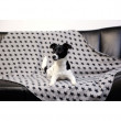 Pătură pentru câini și pisici Stella, 140 x 100 cm  