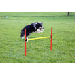 Kerbl obstacole de agilitate pentru câini, set, 3 tipuri  