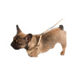 Ham pentru căței și câini mici Puppy 