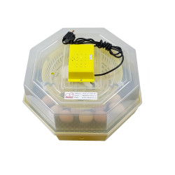 incubator de ouă CLEO 5
