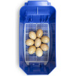 Incubator de ouă complet automat BOROTTO LUMIA 8 EXPERT