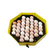 Incubator de ouă CLEO 5 DTH