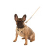 Ham pentru căței și câini mici Puppy 