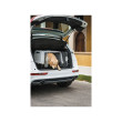 Gulliver Touring – cușcă de transport pentru câini și pisici, compartimentabilă, 80×58,5×62 cm