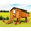 Set de deschidere și închidere automată CHICKEN GUARD EXTREME 25x30