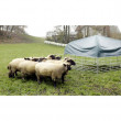 Adăpost mobil pentru ovine și caprine cu prelată, 2,75 x 2,75 m  