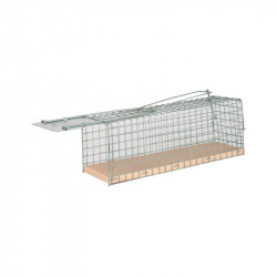 Rat Trap Alive, fir  