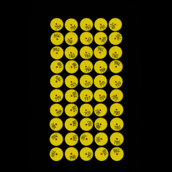 Crotalii auriculare Merko M6 rotunde pentru purcei, galbene, inscripționate – serie numerică 6250–7249