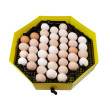 Grilă rotativă pentru ouă de găină pentru incubatoare CLEO SLEPICE